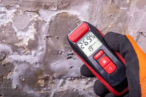 Best Bathroom Mold Remediation in Hudson, NY